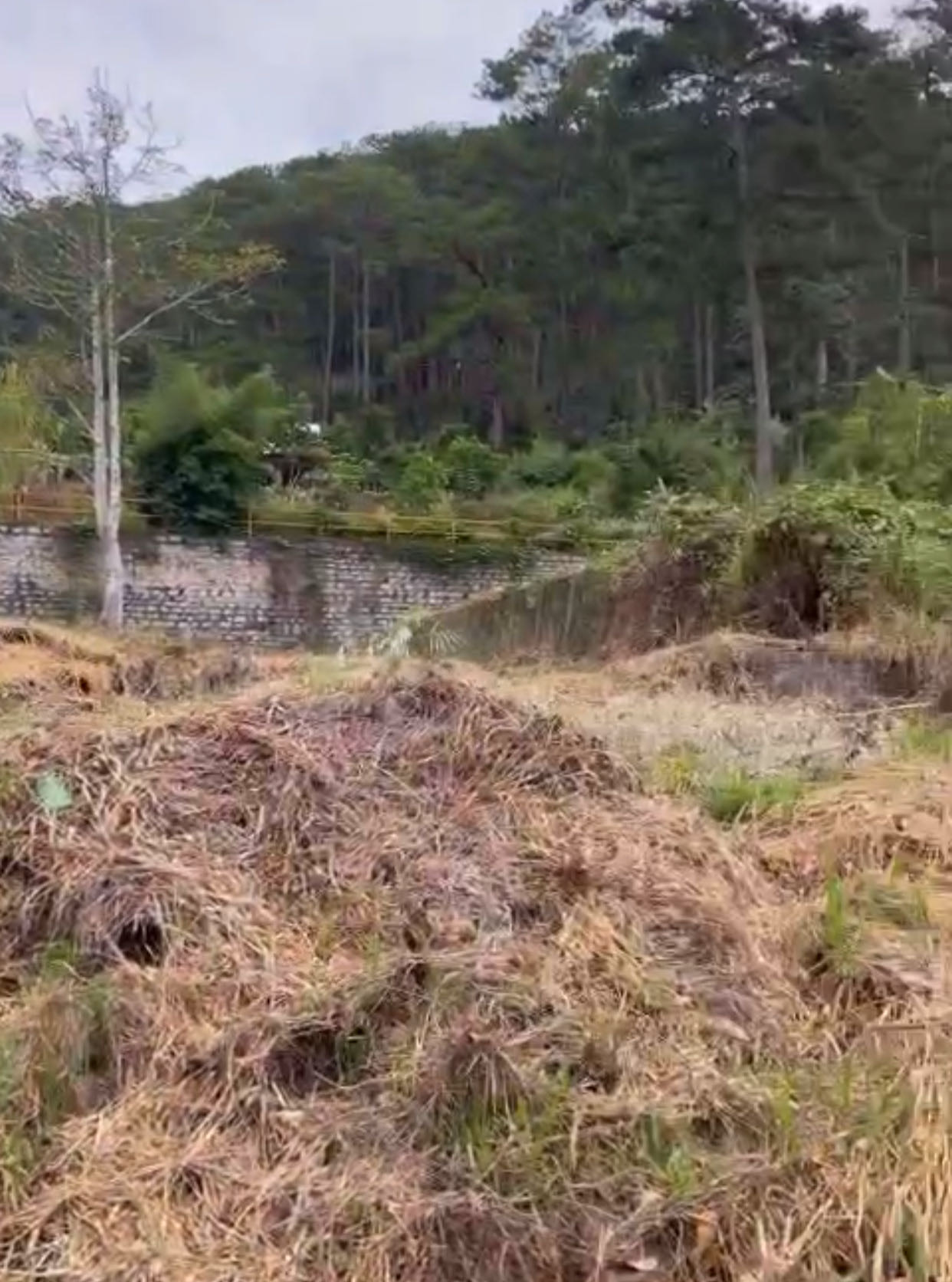 Bán Đất nông nghiệp, Quốc Lộ 20, Phường Xuân Hương, Tp Đà Lạt