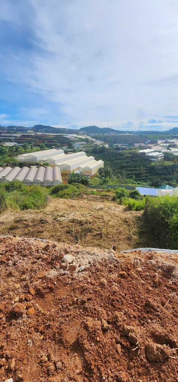 Bán Đất nông nghiệp, Quốc Lộ 20, Phường Xuân Trường, Tp Đà Lạt