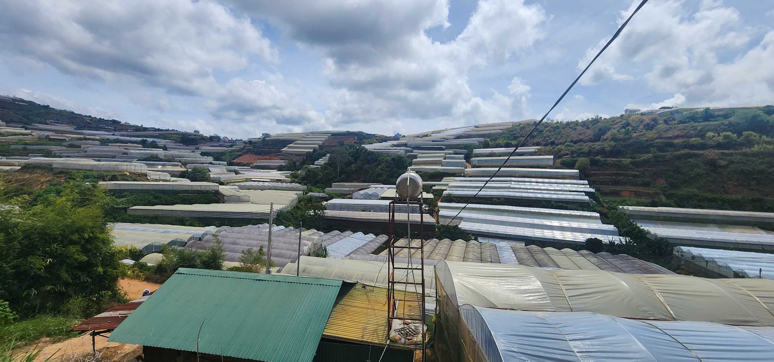 Bán Đất nông nghiệp, Quốc Lộ 20, Phường Xuân Trường, Tp Đà Lạt