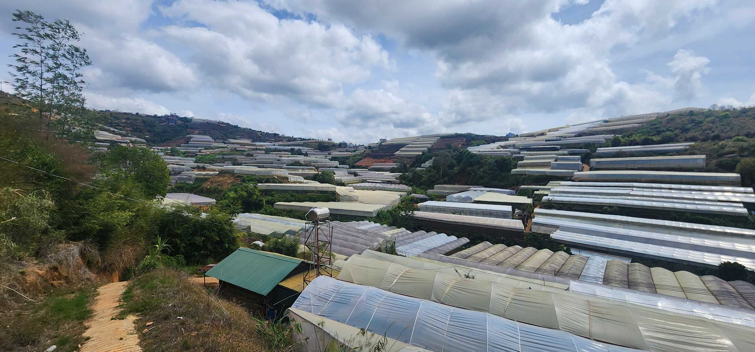 Bán Đất nông nghiệp, Quốc Lộ 20, Phường Xuân Trường, Tp Đà Lạt